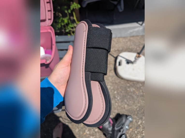 Pinke Showmaster Gamaschen