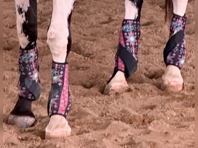 Professional Choice 2x Cool Gamaschen Set