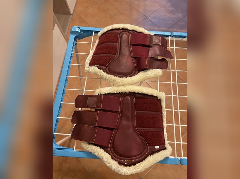 RidersChoice Gamaschen WB