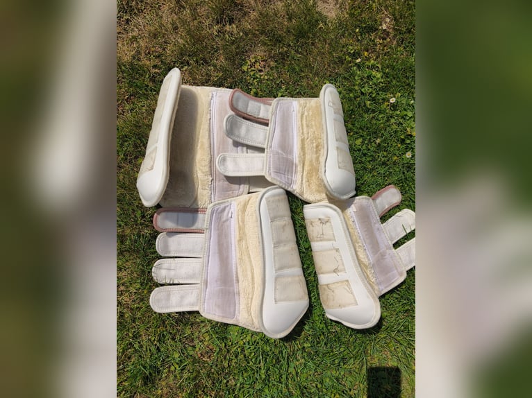 Ridersdeal Dressurgamaschen weiß Roségold Kunstfell Wb/L 