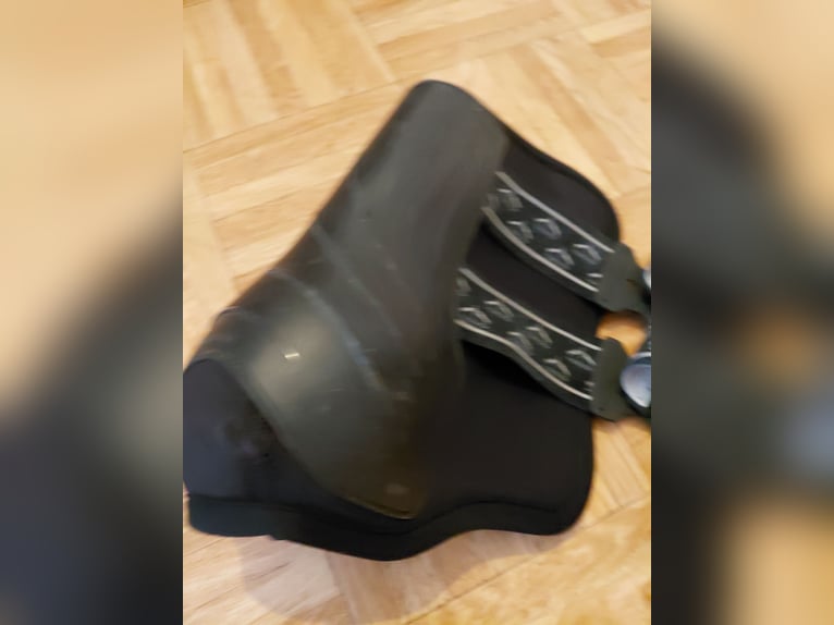 VEREDUS Dressurgamaschen Absolute Elastic, für die Hinterbeine L