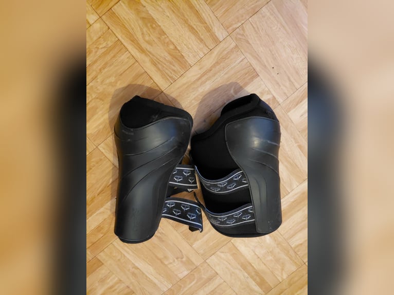 VEREDUS Dressurgamaschen Absolute Elastic, für die Hinterbeine L