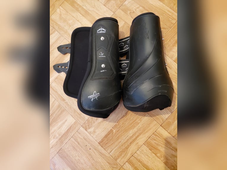 VEREDUS Dressurgamaschen Absolute Elastic, für die Hinterbeine L