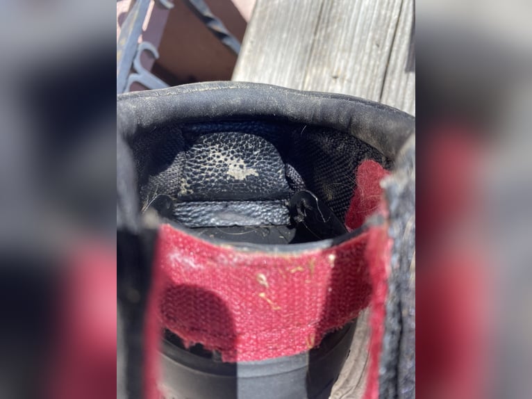 Cavallo Horse and Rider Hufschuh Cute Little Boot, für Shettys