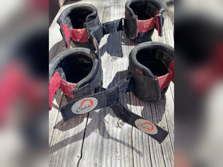 Cavallo Horse and Rider Hufschuh Cute Little Boot, für Shettys