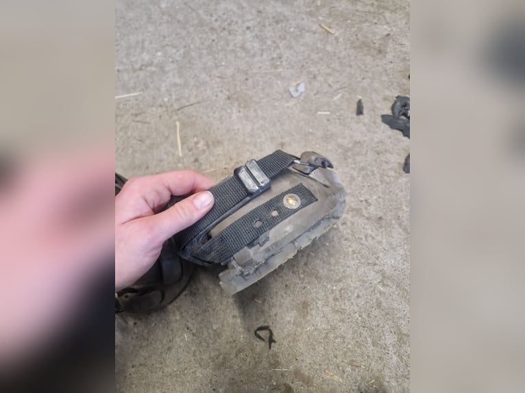 Dallmer Clog Hufschuhe