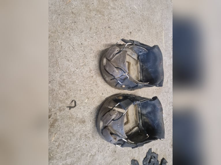 Dallmer Clog Hufschuhe