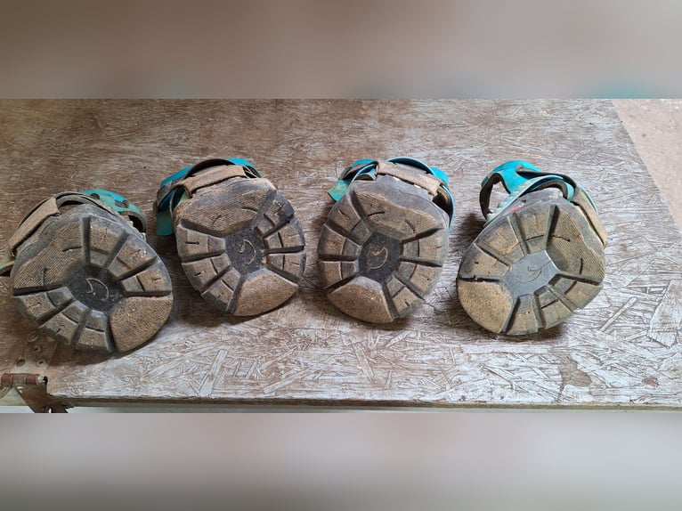 Flex Hoof Boots 120/125, wenig benutzt