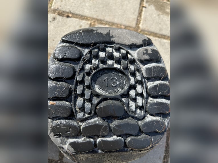 Hufschuhe Equine Fusion Jogging Shoe – Größe 13 – Neuwertig