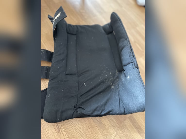 Back on Track Stallgamaschen Gr. L