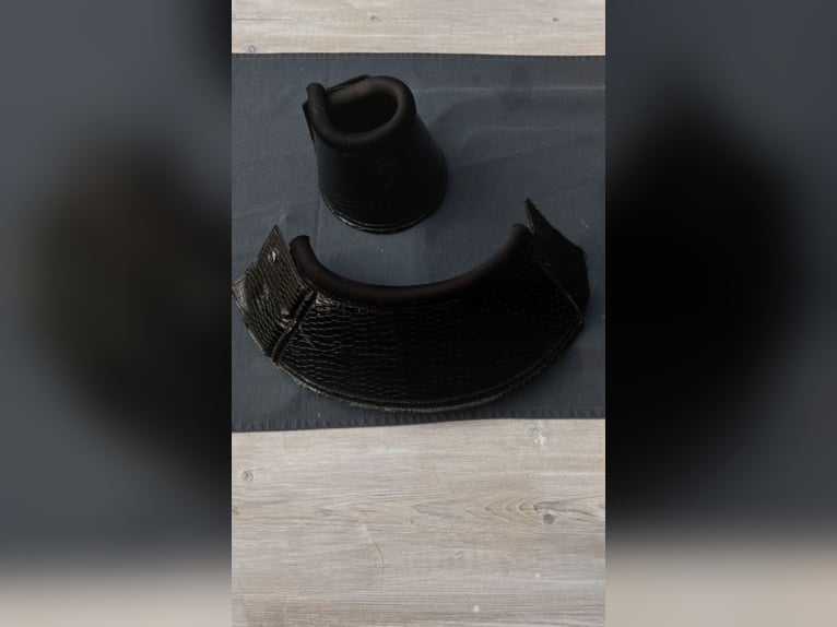 Wunderschöne Croco Hufglocken