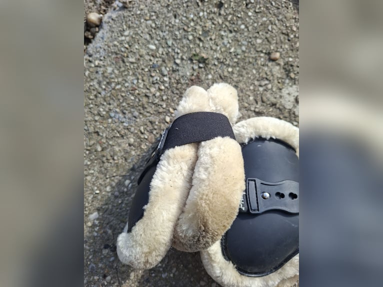 Felix Bühler Streichkappen mit Fellrand - Größe Warmblut (WB)