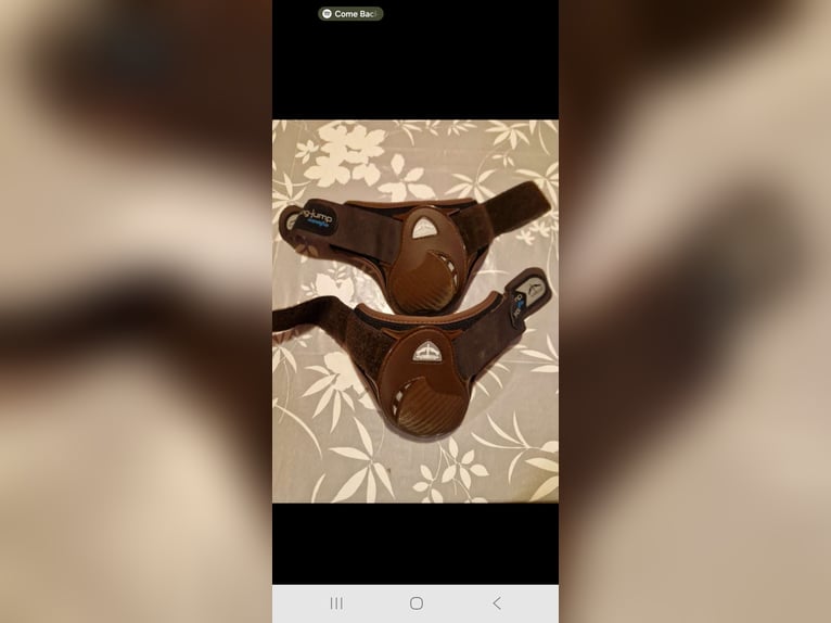 Veredus Streichkappen S