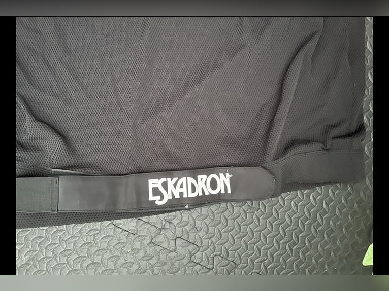 Eskadron Brustschutz
