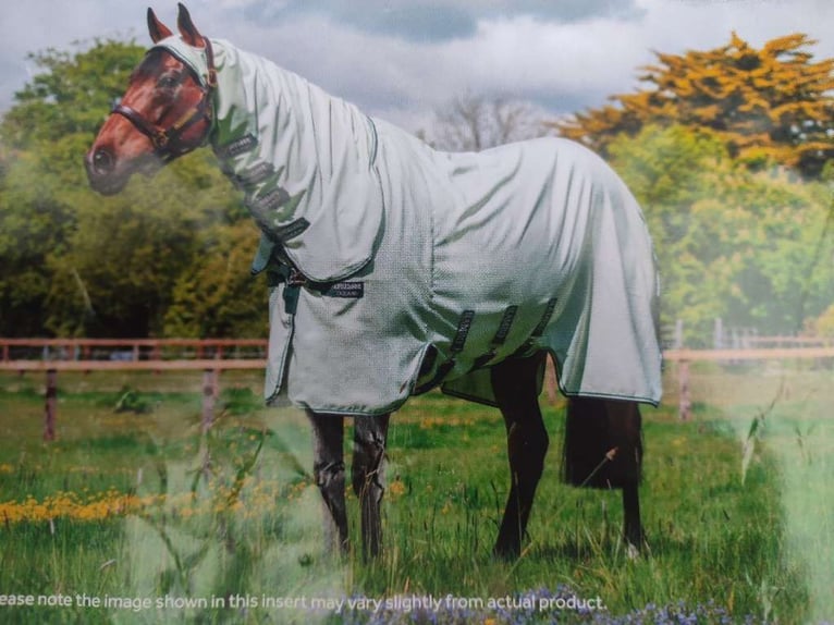 Fliegendecke/ Ekzemerdecke, Rambo Horsewear