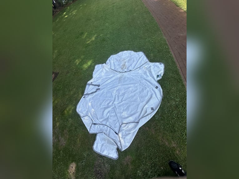 HORSEWARE SOMMERDECKE AMIGO SUMMER SHEET PLUS