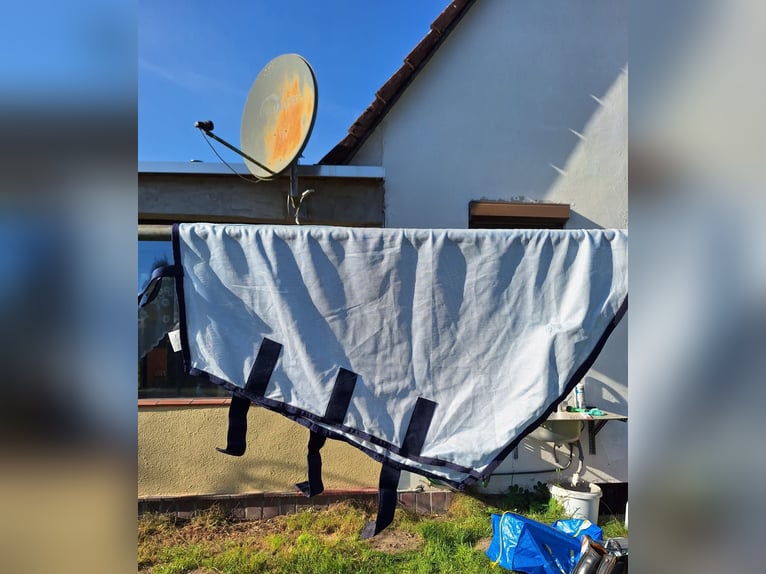Kantrie Fliegenausreitdecke
