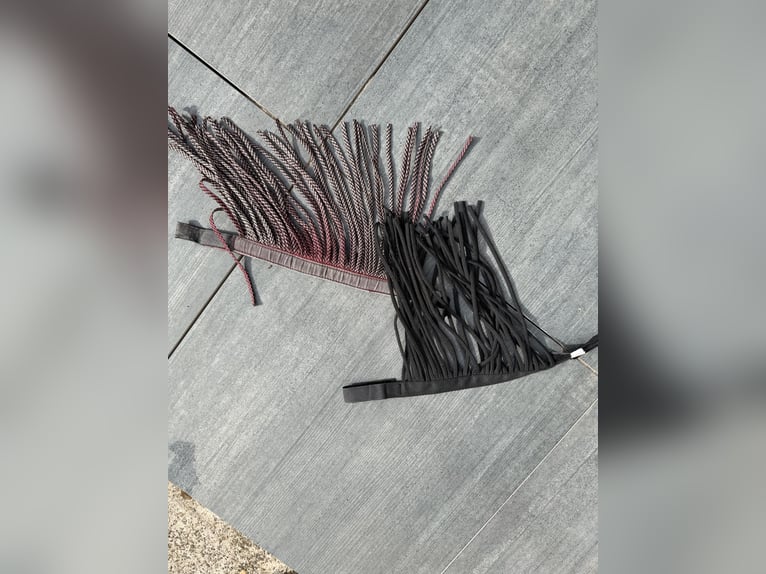 Fliegenfransen zu verschenken