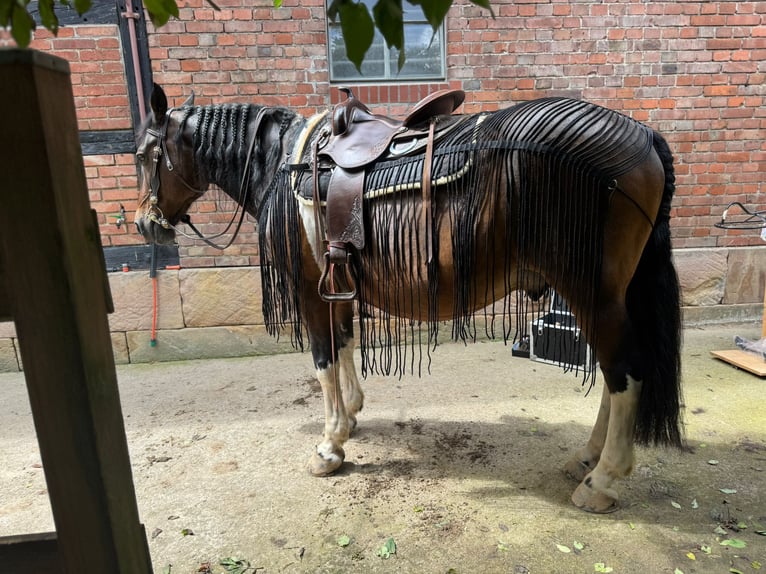 Fransen - Ausreitdecke