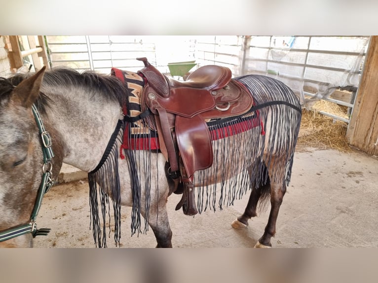 Fransen - Ausreitdecke