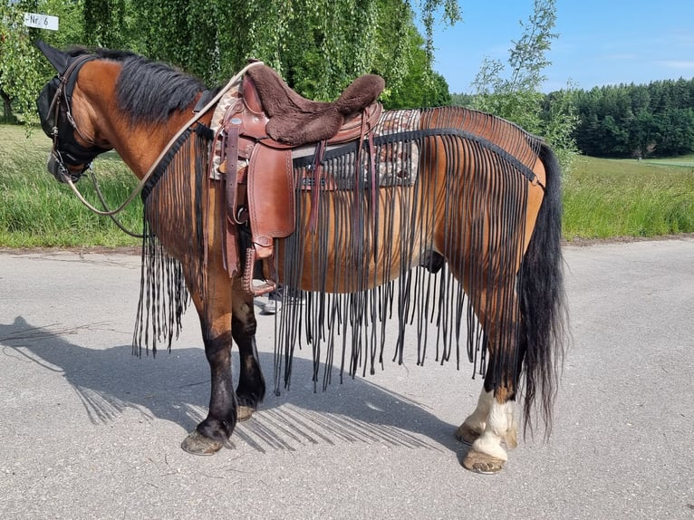 Fransen - Ausreitdecke