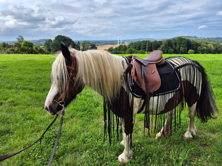 Fransen - Ausreitdecke