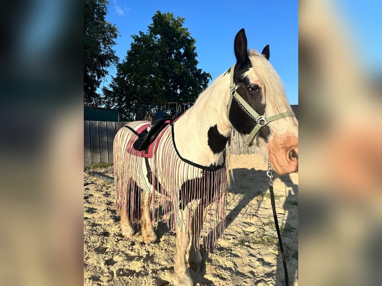 Fransen - Ausreitdecke