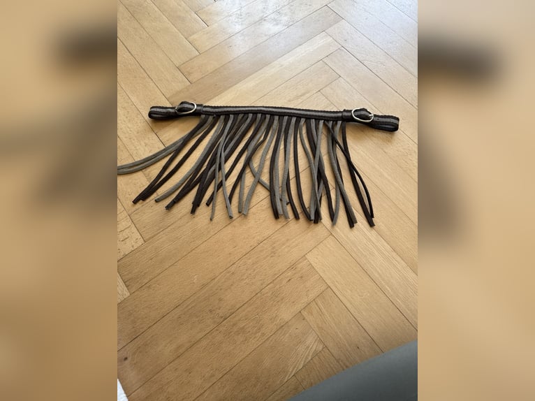 Shetty Fliegenfransen 