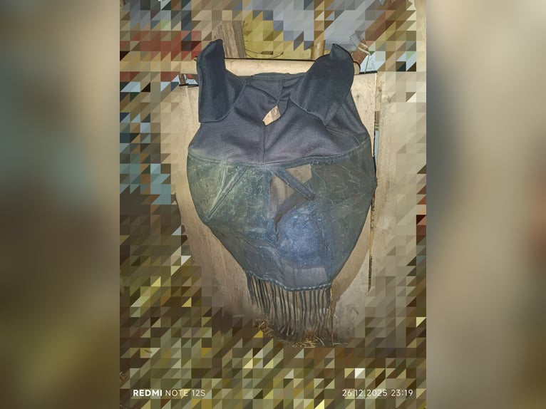 Covalliero Fliegenmaske - Ohrenschutz & Nüsternkordel schwarz WB