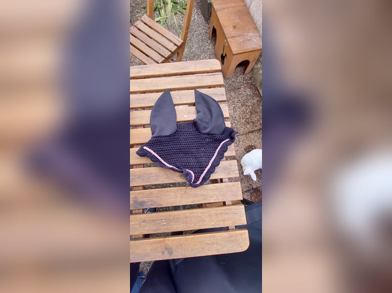 Fliegenhauben Warmblut