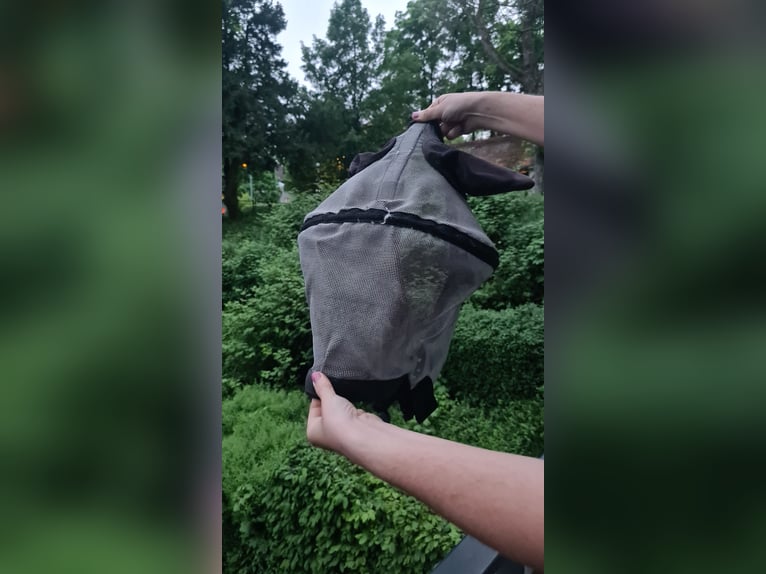 Harry Horse Fliegenmaske mit Abstandsring und Nüsternschutz