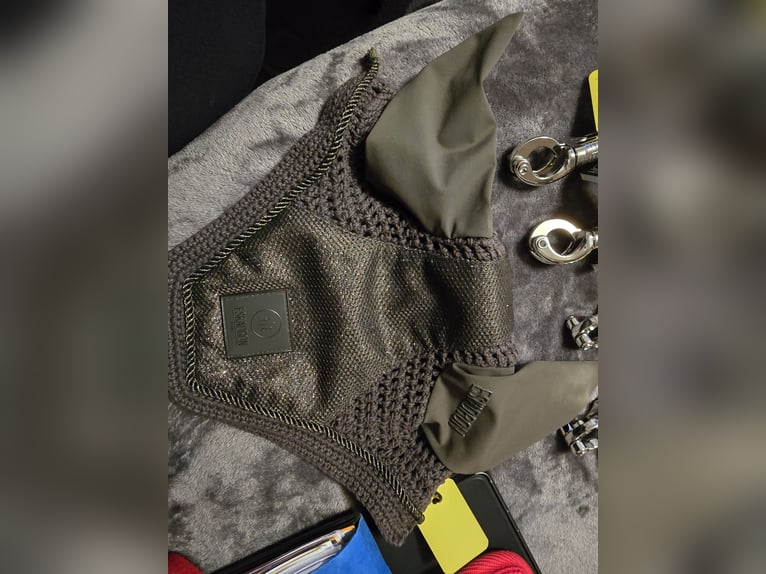 Fliegenohren Eskadron Pony 