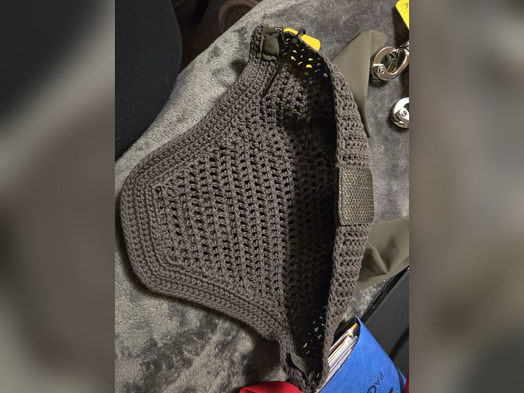 Fliegenohren Eskadron Pony 