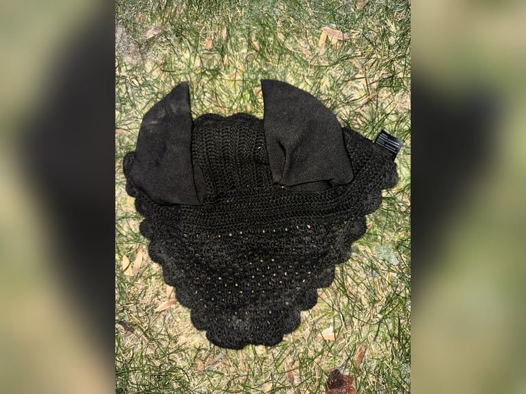 Fliegenohren schwarz WB