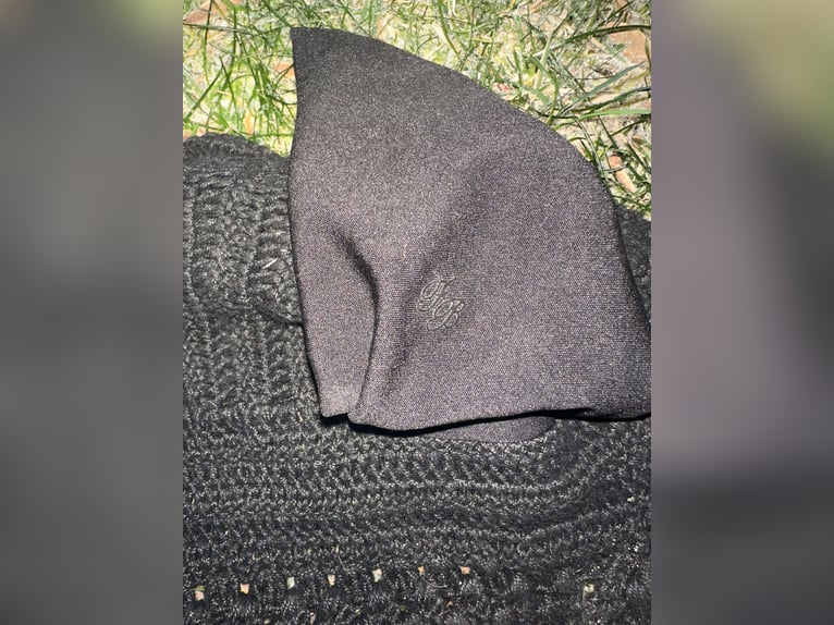 Fliegenohren schwarz WB