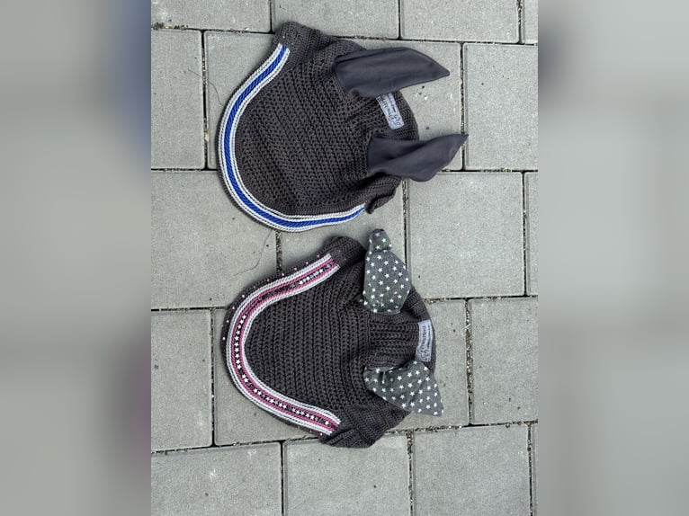 Schicke Fliegenohren COB