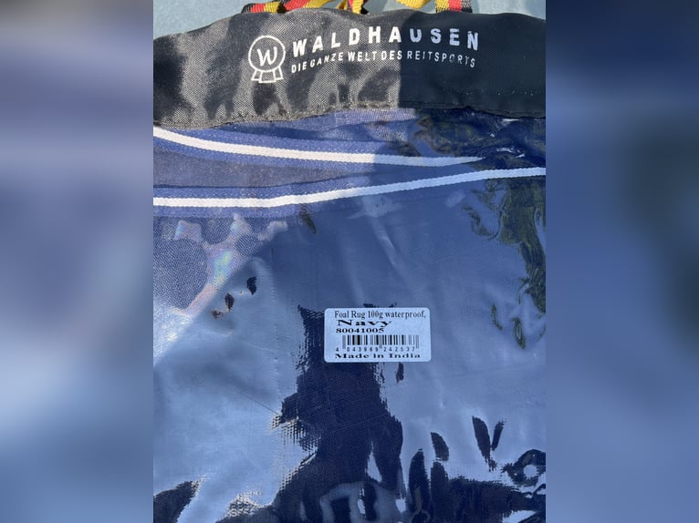 Fohlendecke von Waldhausen