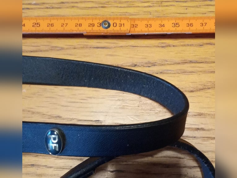 Fohlenhalfter, 2x Leder + 2x Nylon