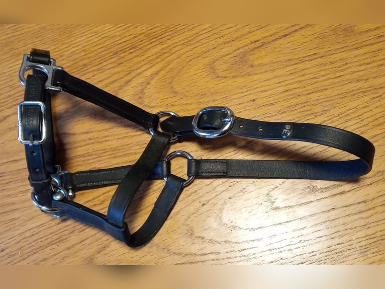 Fohlenhalfter, 2x Leder + 2x Nylon