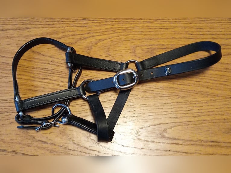 Fohlenhalfter, 2x Leder + 2x Nylon