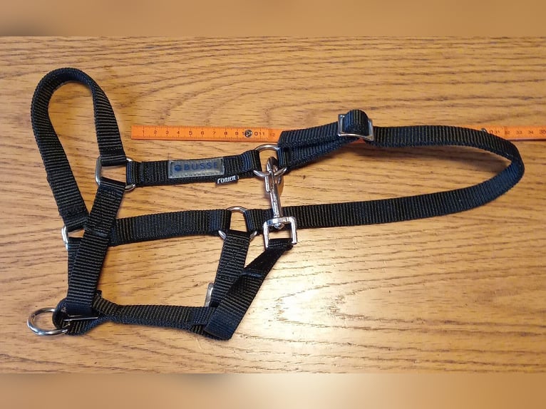 Fohlenhalfter, 2x Leder + 2x Nylon