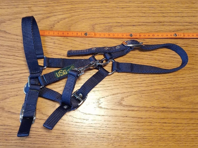 Fohlenhalfter, 2x Leder + 2x Nylon