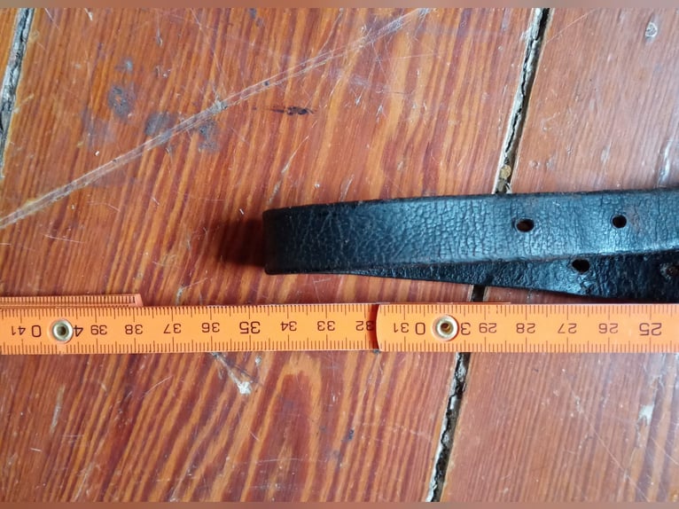 mehrere Ponyfohlenhalfter