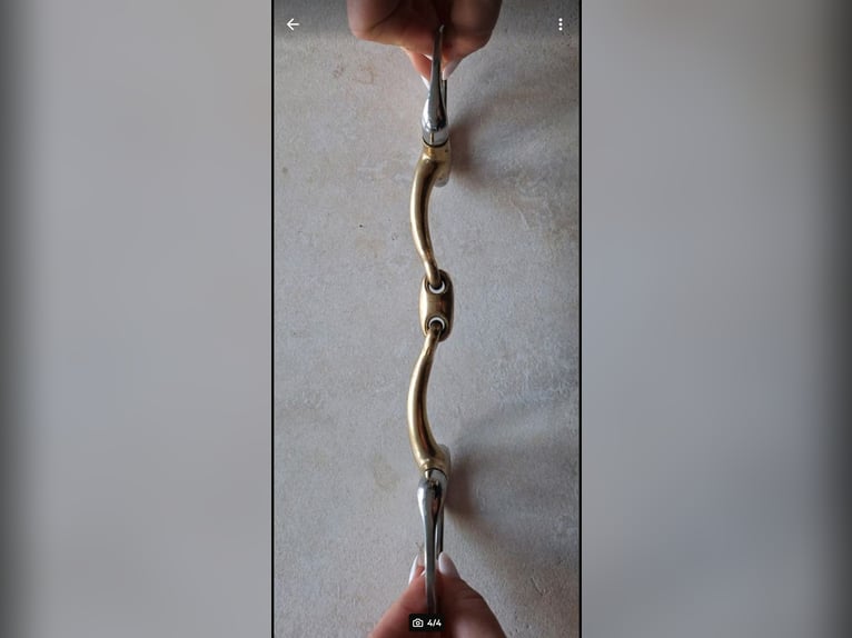 Doppelt gebrochenes Gebiss selten genutzt