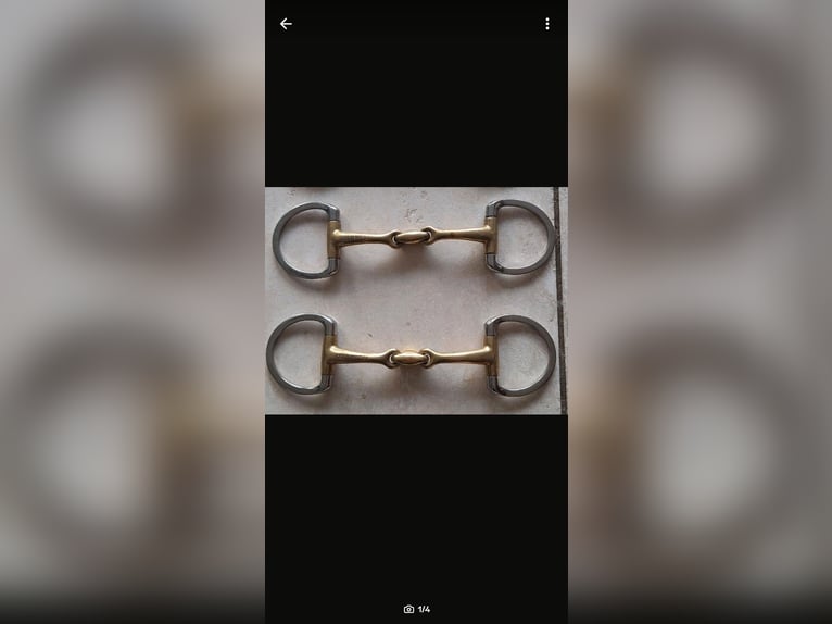 Doppelt gebrochenes Gebiss selten genutzt