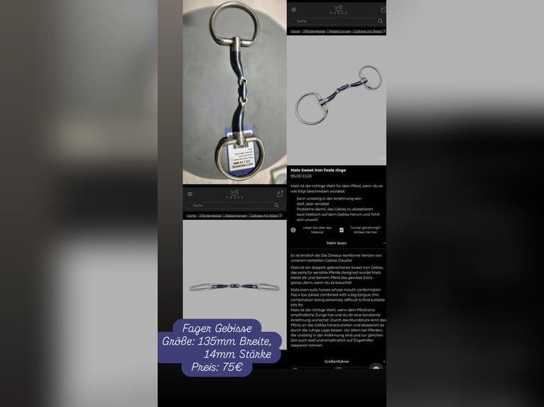 Doppeltgebrochenes Gebiss