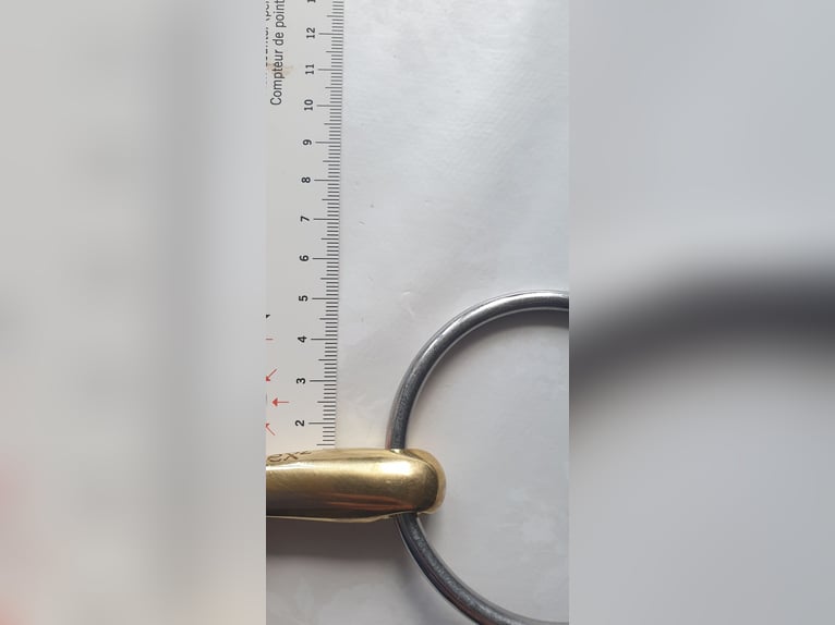 Neue Schule Turtle Top 