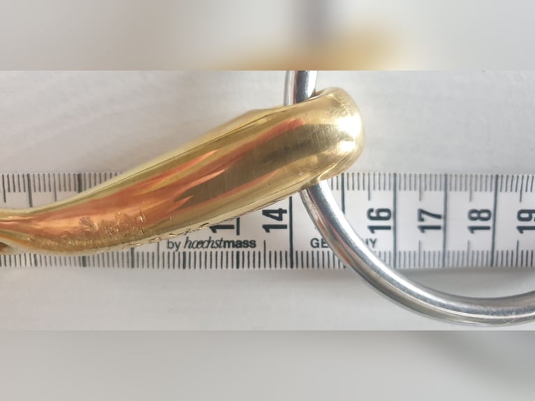 Neue Schule Turtle Top 