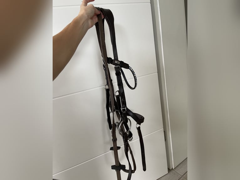 Ponytrense mit Gebiss und Stirnriemen