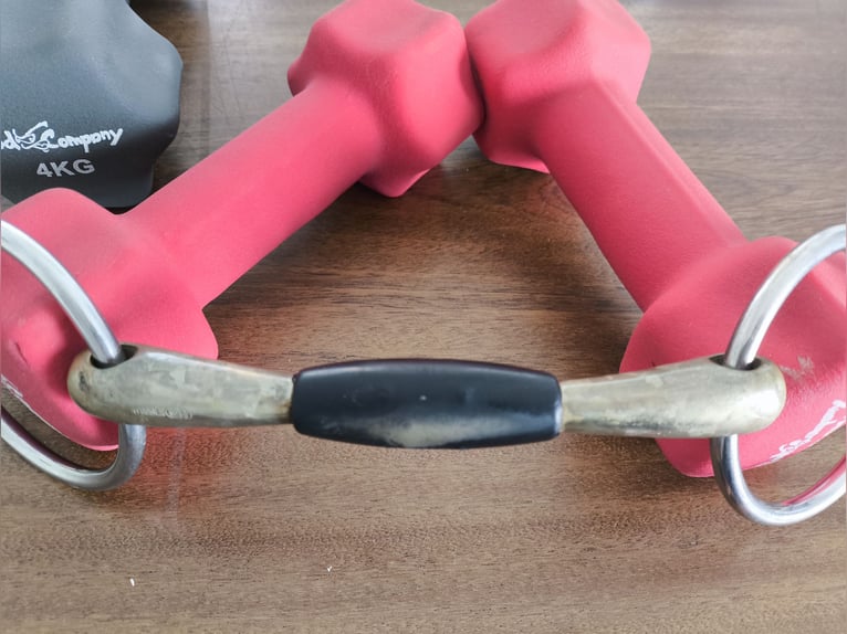 Sprenger Nathe Wassertrense doppelt gebrochen mit Sensogan | 13,5 cm